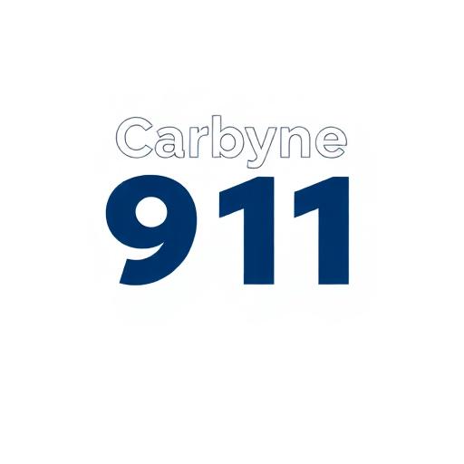 Carbyne 911 team